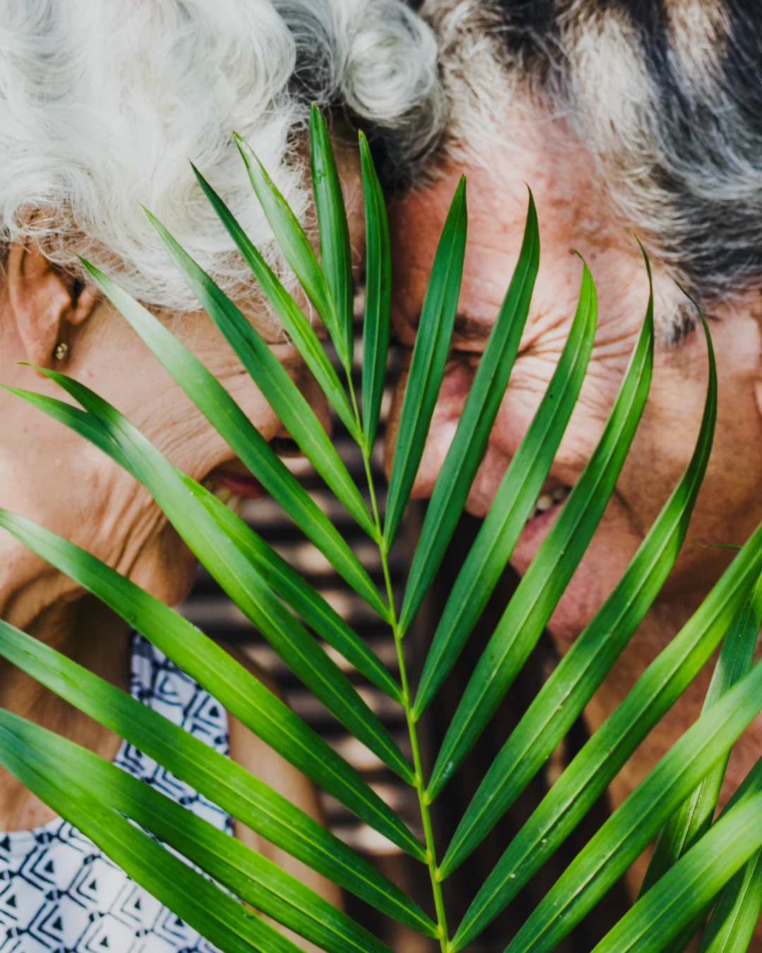 Séniors à Piolenc : Un engagement pour 2026