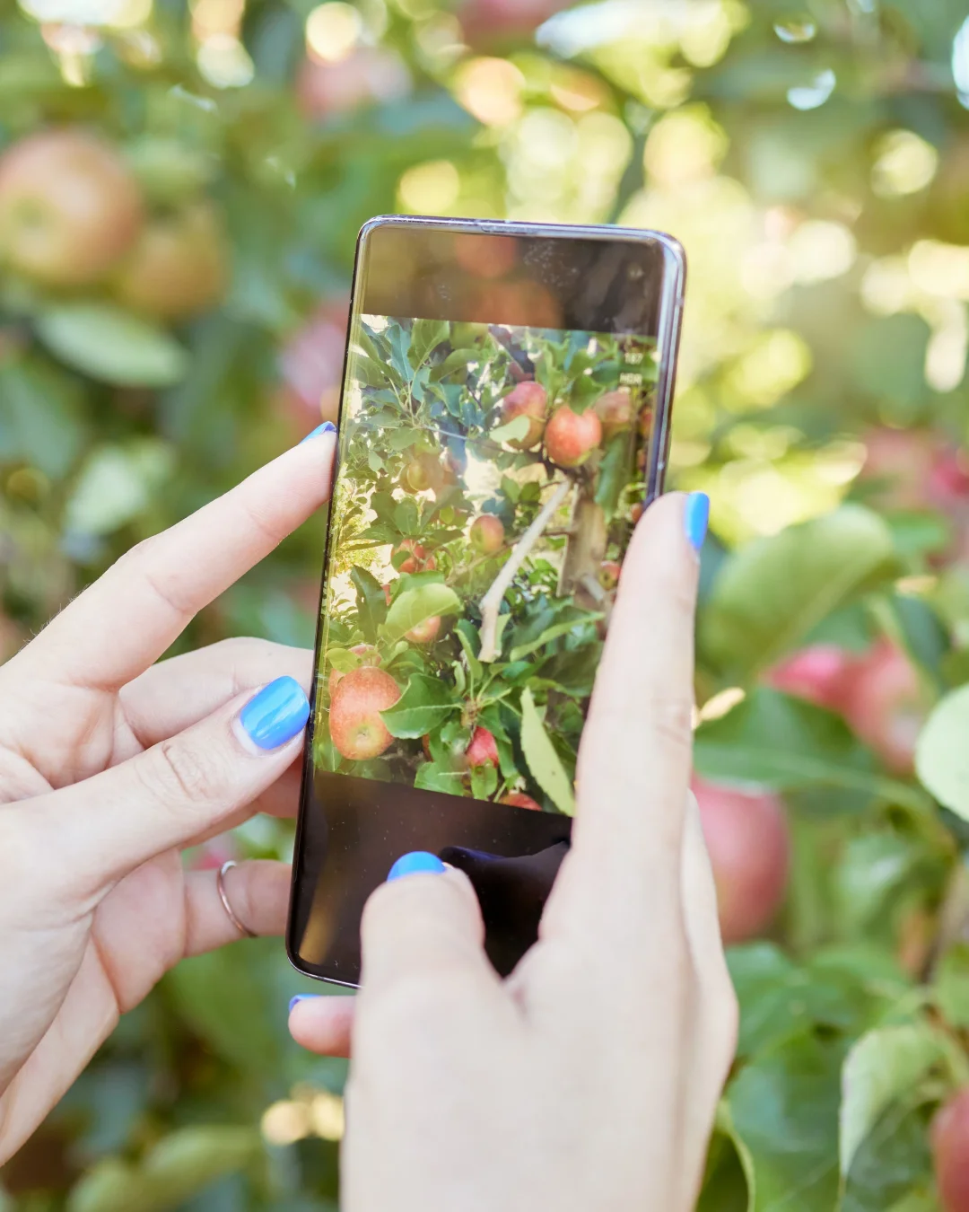 Test iPhone 16 Pro Max : Avis Complet et Détails