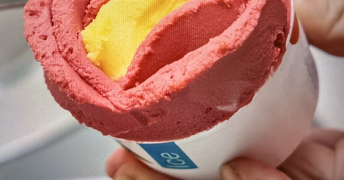 Glace framboise mangue Villeneuve-lès-Avignon | Gelateria