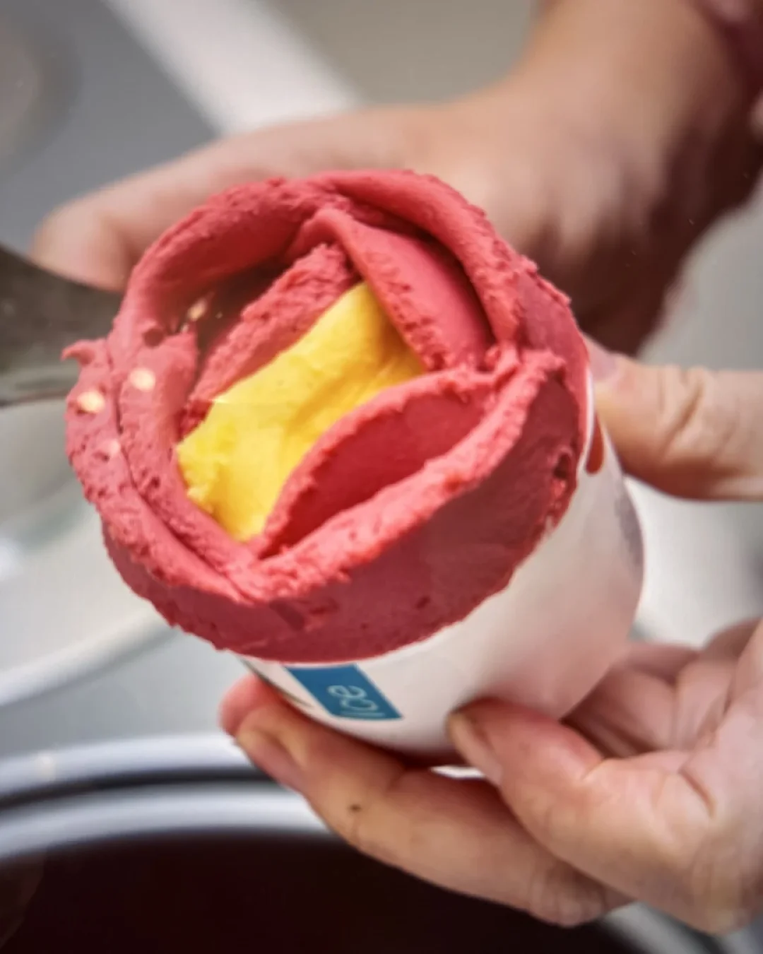 Glace framboise mangue Villeneuve-lès-Avignon | Gelateria