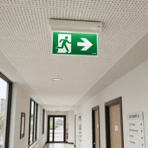 Bloc autonome d'éclairage de sécurité en place