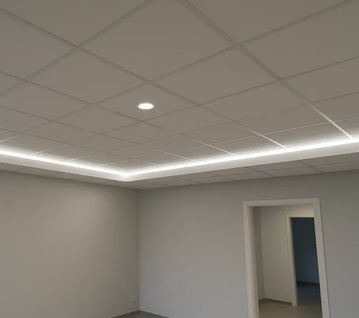 Pose de faux plafonds (standards, démontables, design avec LED)
