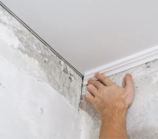 Pose de moulures et corniches décoratives
